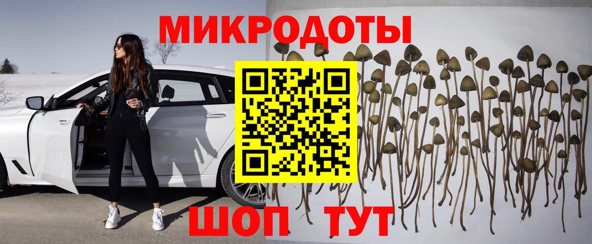 Галлюциногенные грибы мухоморы Советск